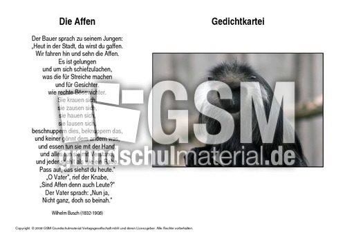Die-Affen-Busch.pdf